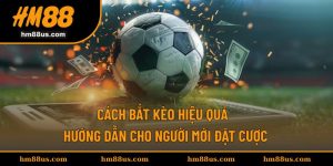 Cách Bắt Kèo Hiệu Quả - Hướng Dẫn Cho Người Mới Đặt Cược