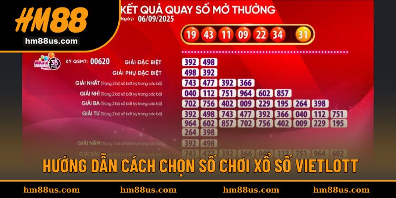 Hướng dẫn chọn số để dễ dàng chơi Vietlott