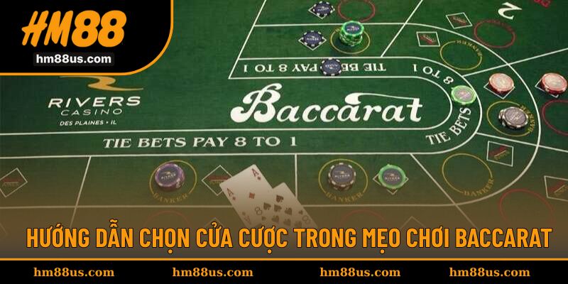 Hướng dẫn nên chọn cửa cược trong mẹo Baccarat