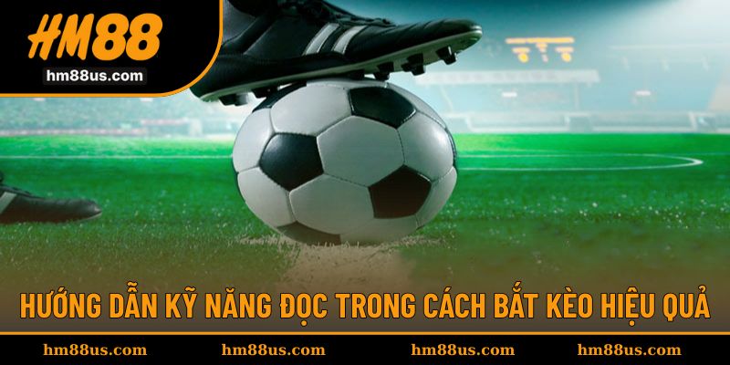 Hướng dẫn kỹ năng đọc chuẩn xác cho kèo bóng đá