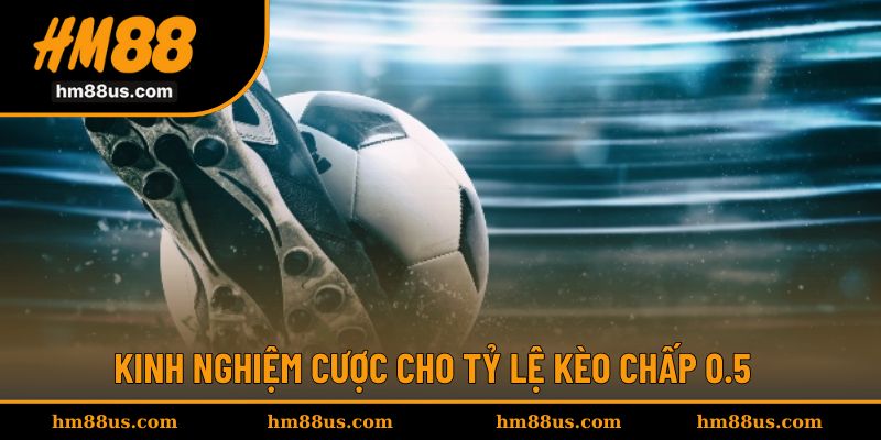Kinh nghiệm cao thủ khi cược cho kèo 0.5 chấp