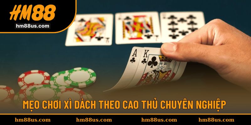 Mẹo chơi xì dách không thể bỏ qua khi đặt cược