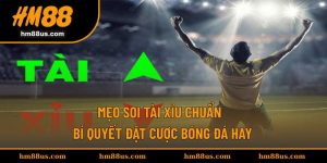 Mẹo soi tài xỉu chuẩn