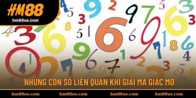 Những con số liên quan đến trường hợp gặp phải