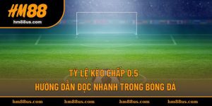 Tỷ Lệ Kèo Chấp 0.5 - Hướng Dẫn Đọc Nhanh Trong Bóng Đá