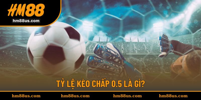 Lựa chọn kèo chấp 0.5 để trải nghiệm trận đấu chênh nhẹ